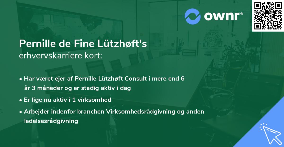 Pernille de Fine Lützhøft's erhvervskarriere kort