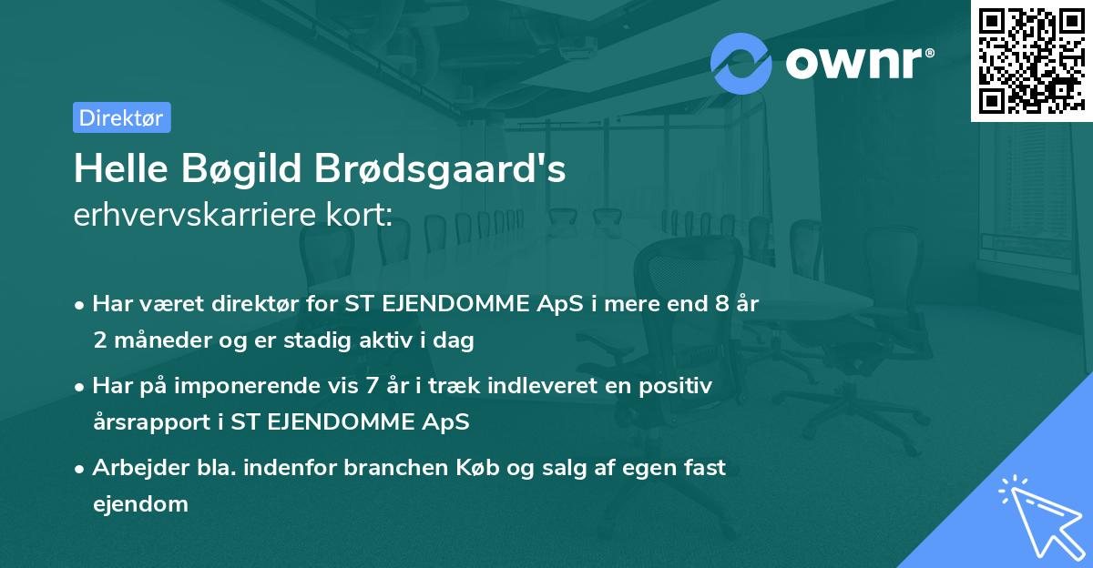 Helle Bøgild Brødsgaard's erhvervskarriere kort