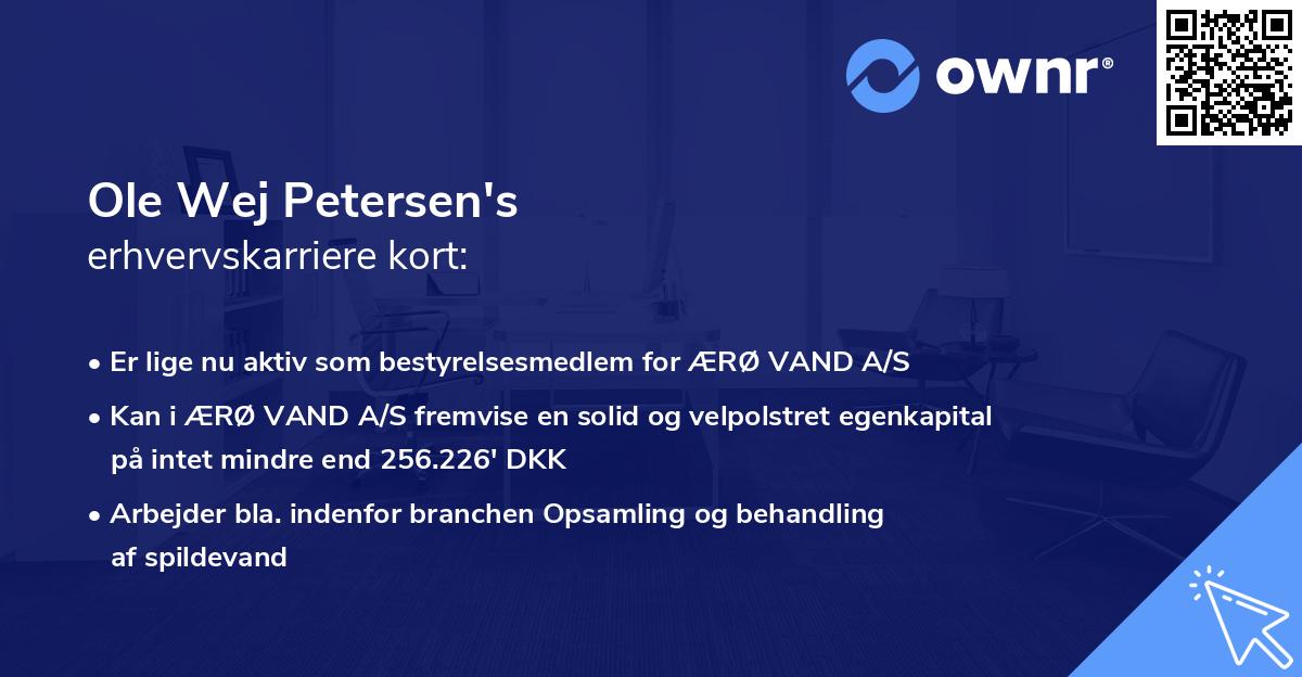 Ole Wej Petersen's erhvervskarriere kort