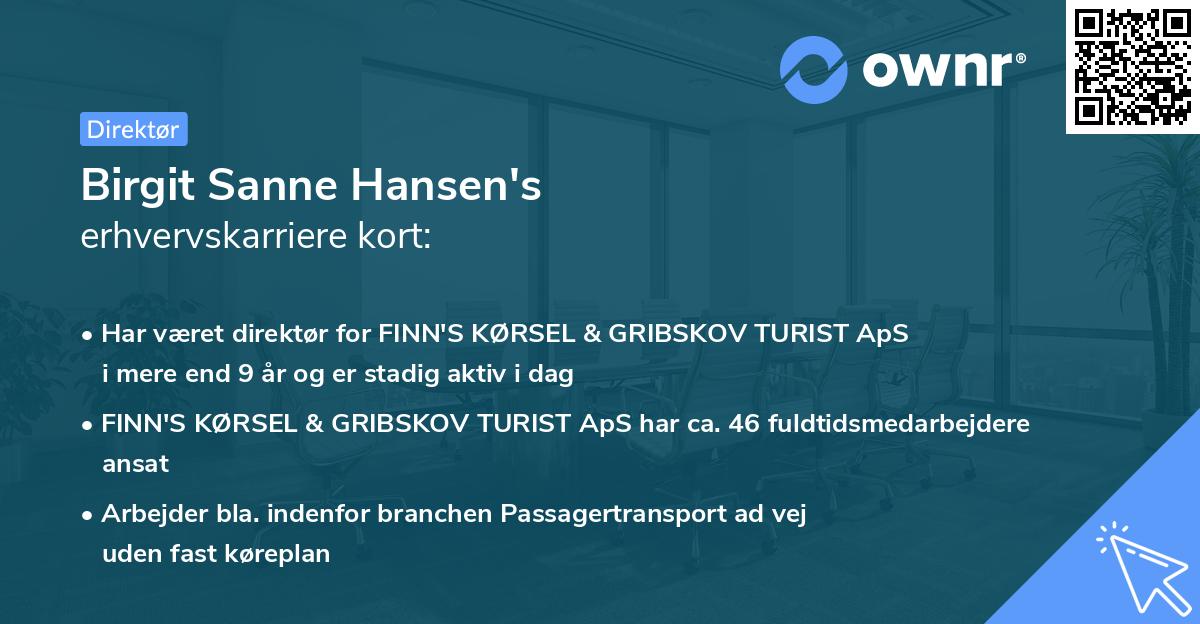 Birgit Sanne Hansen's erhvervskarriere kort