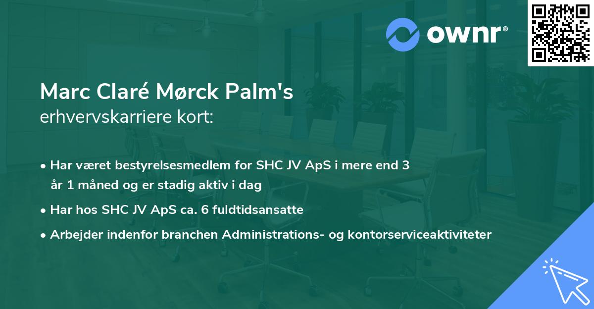 Marc Claré Mørck Palm's erhvervskarriere kort
