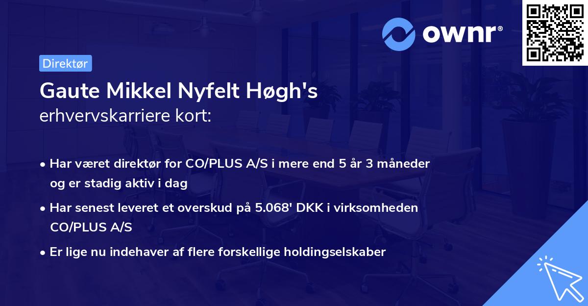 Gaute Mikkel Nyfelt Høgh's erhvervskarriere kort