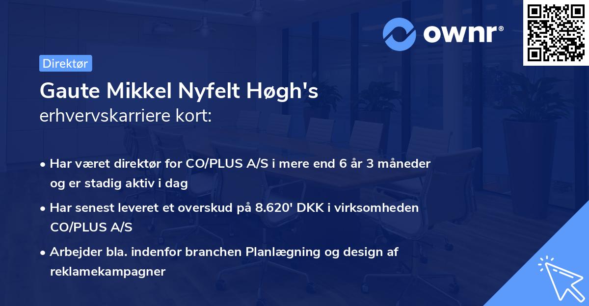 Gaute Mikkel Nyfelt Høgh's erhvervskarriere kort