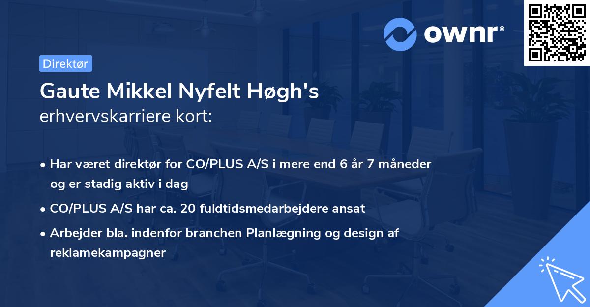 Gaute Mikkel Nyfelt Høgh's erhvervskarriere kort