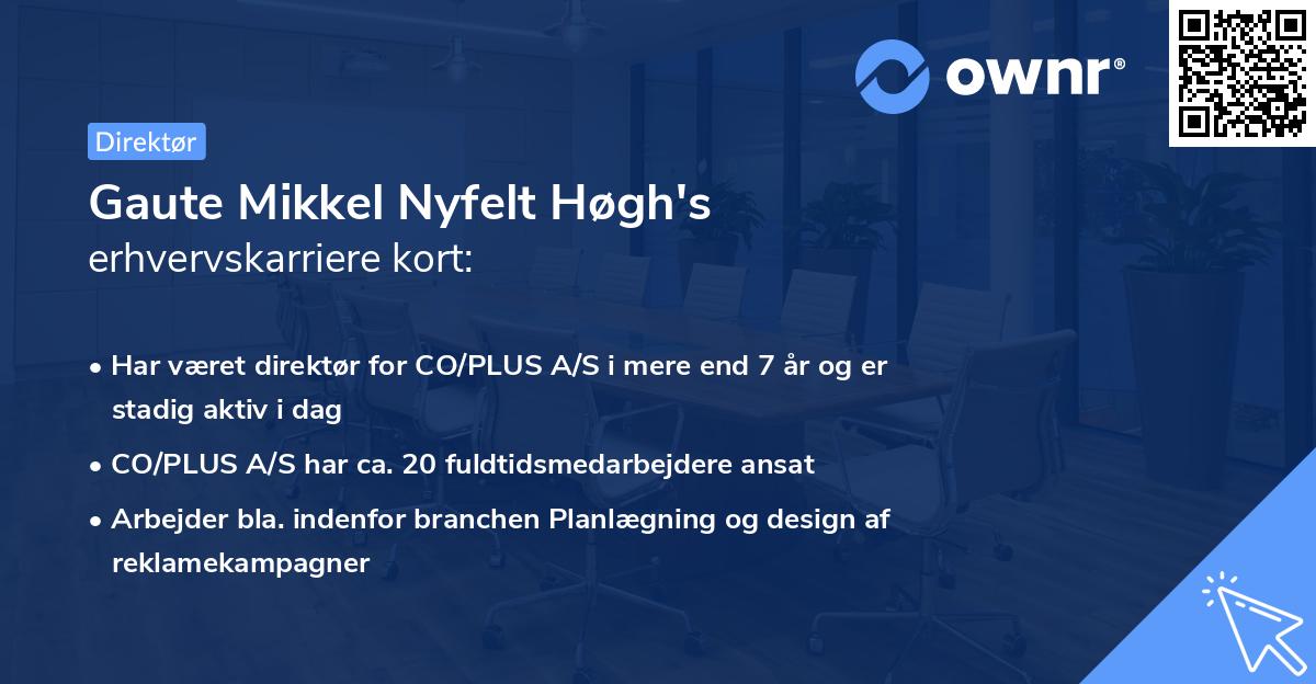 Gaute Mikkel Nyfelt Høgh's erhvervskarriere kort