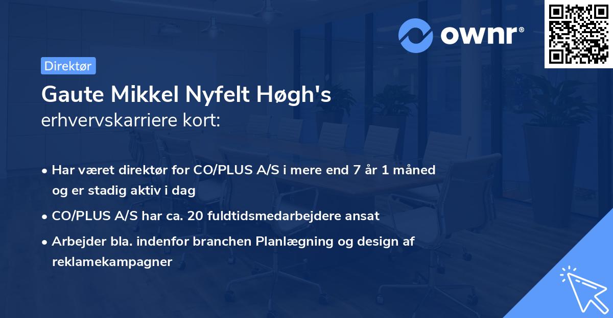 Gaute Mikkel Nyfelt Høgh's erhvervskarriere kort