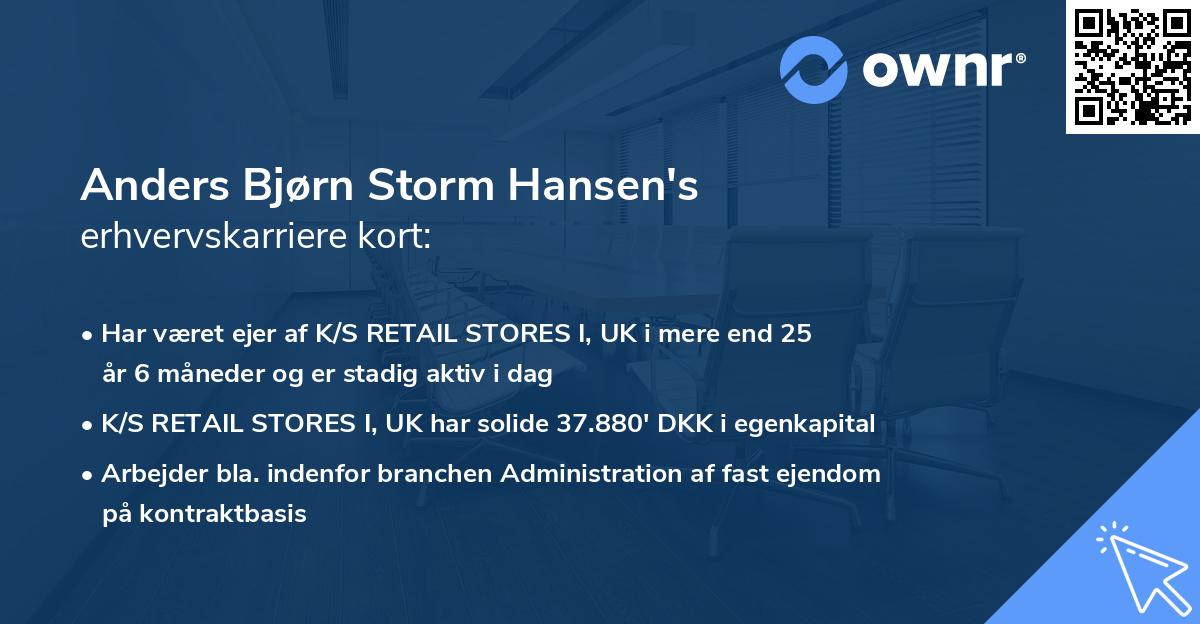 Anders Bjørn Storm Hansen's erhvervskarriere kort