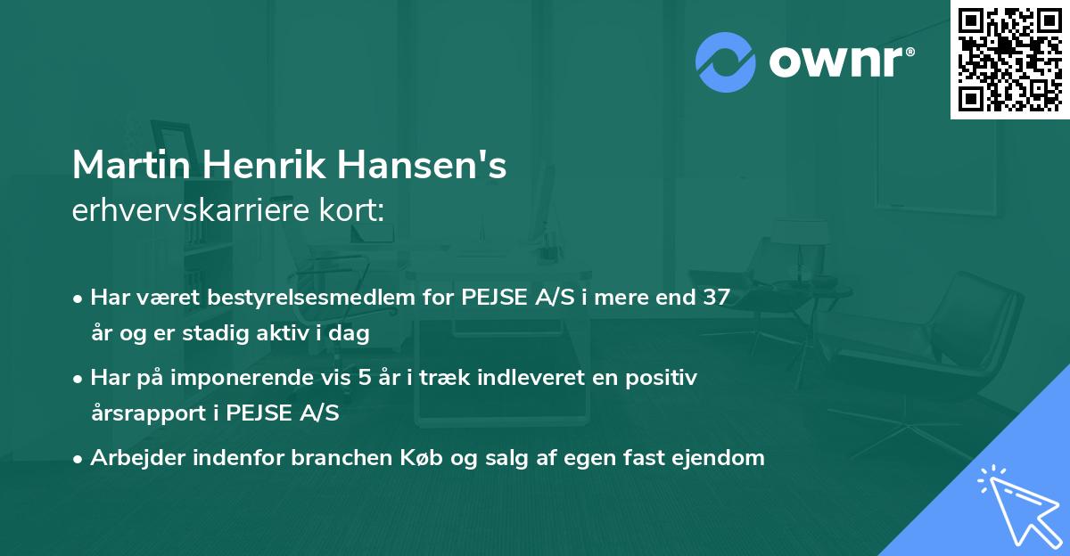 Martin Henrik Hansen's erhvervskarriere kort