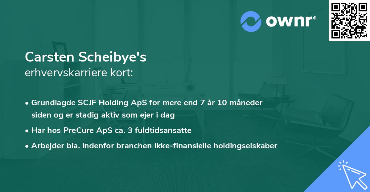Carsten Scheibye's erhvervskarriere kort
