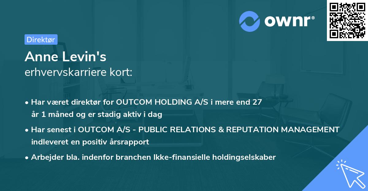Anne Levin's erhvervskarriere kort