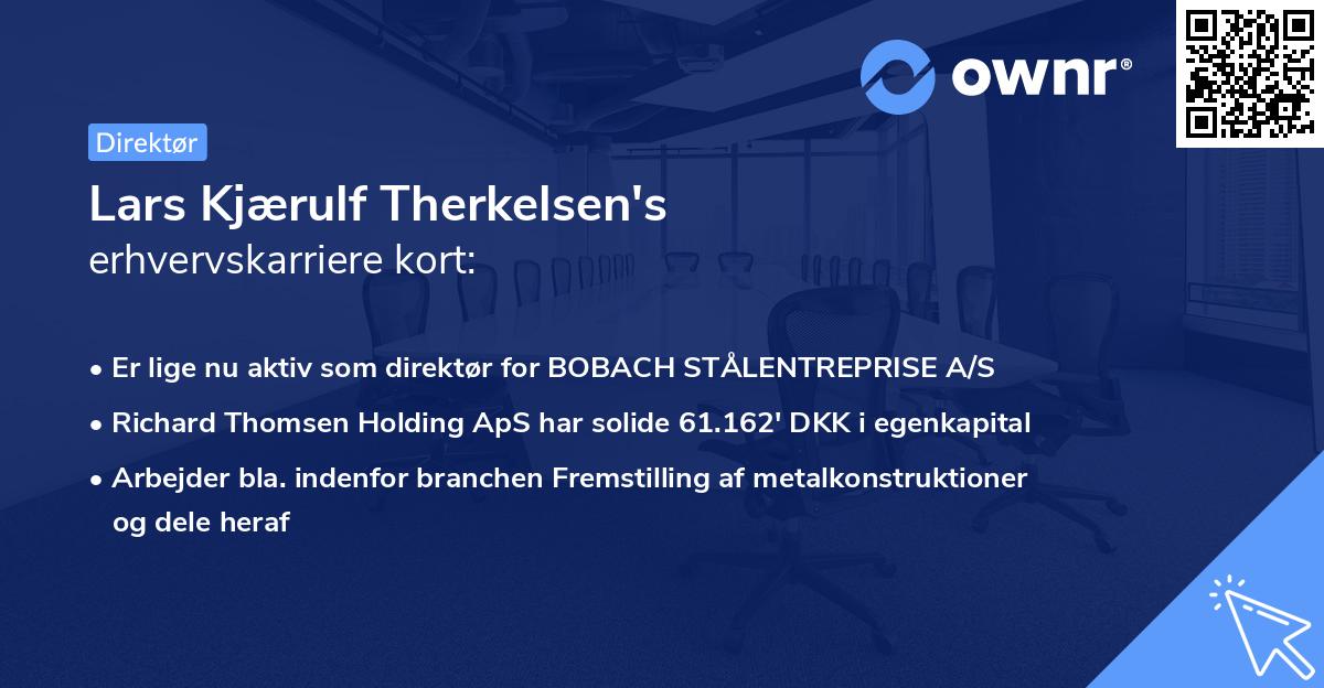 Lars Kjærulf Therkelsen's erhvervskarriere kort
