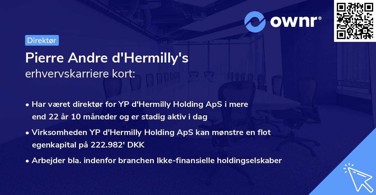 Pierre Andre d'Hermilly's erhvervskarriere kort