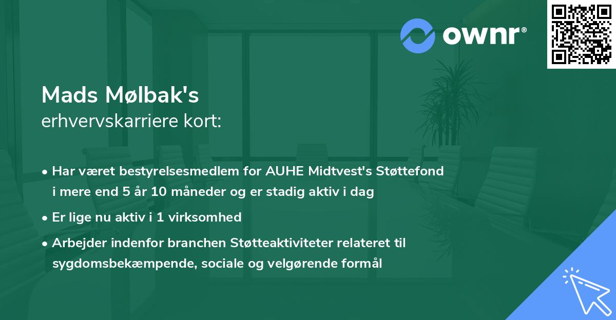 Mads Mølbak's erhvervskarriere kort