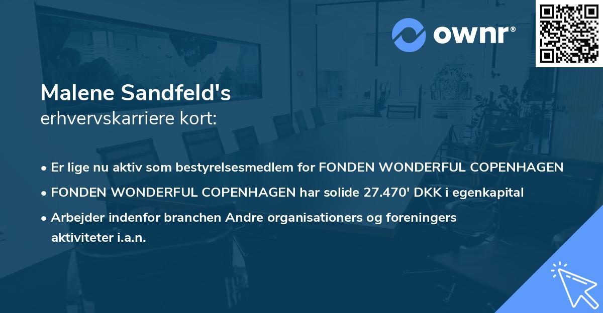 Malene Sandfeld's erhvervskarriere kort