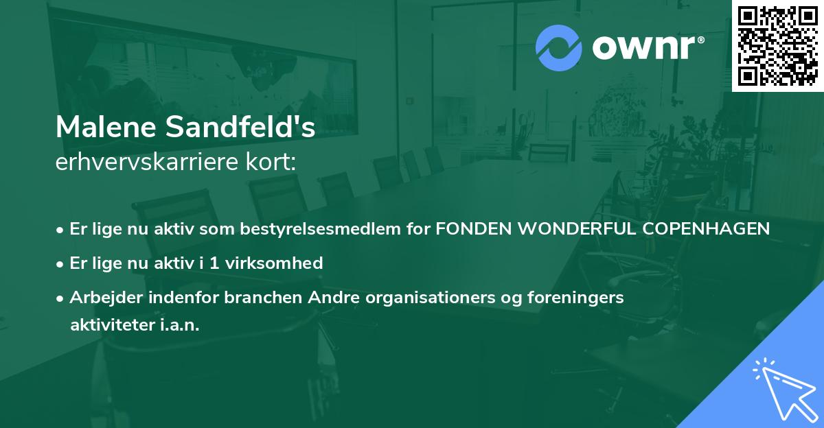 Malene Sandfeld's erhvervskarriere kort