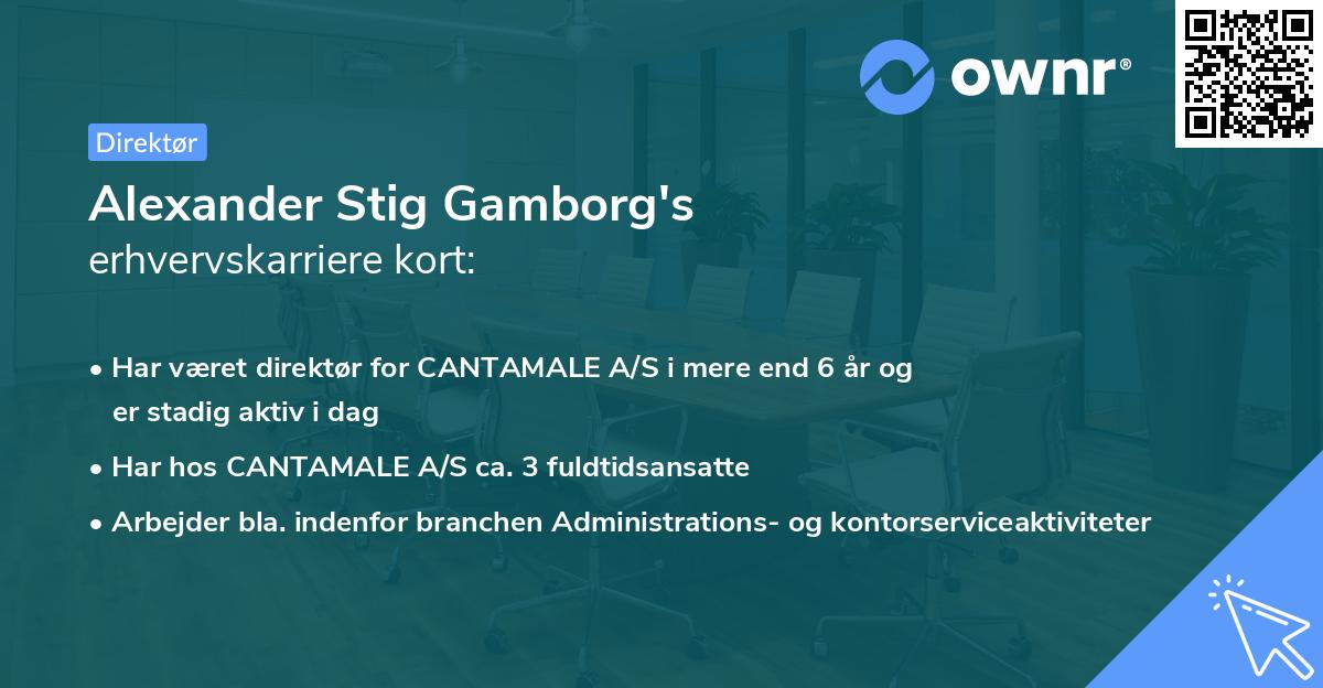 Alexander Stig Gamborg's erhvervskarriere kort