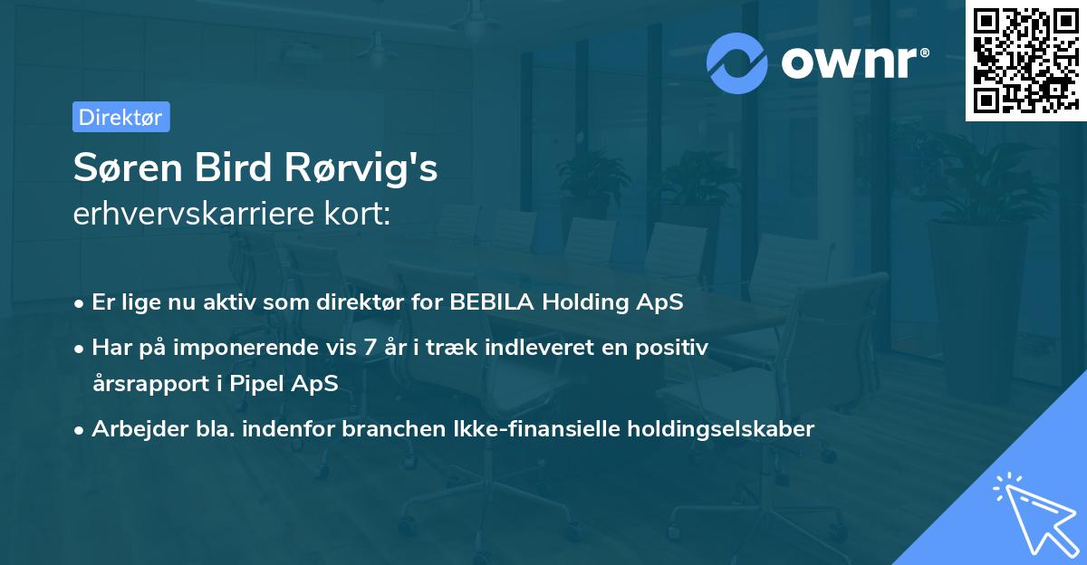 Søren Bird Rørvig's erhvervskarriere kort