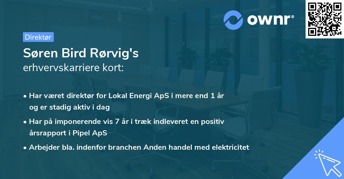Søren Bird Rørvig's erhvervskarriere kort