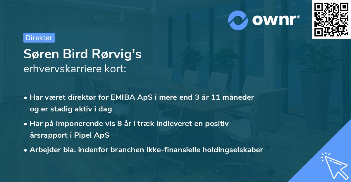 Søren Bird Rørvig's erhvervskarriere kort