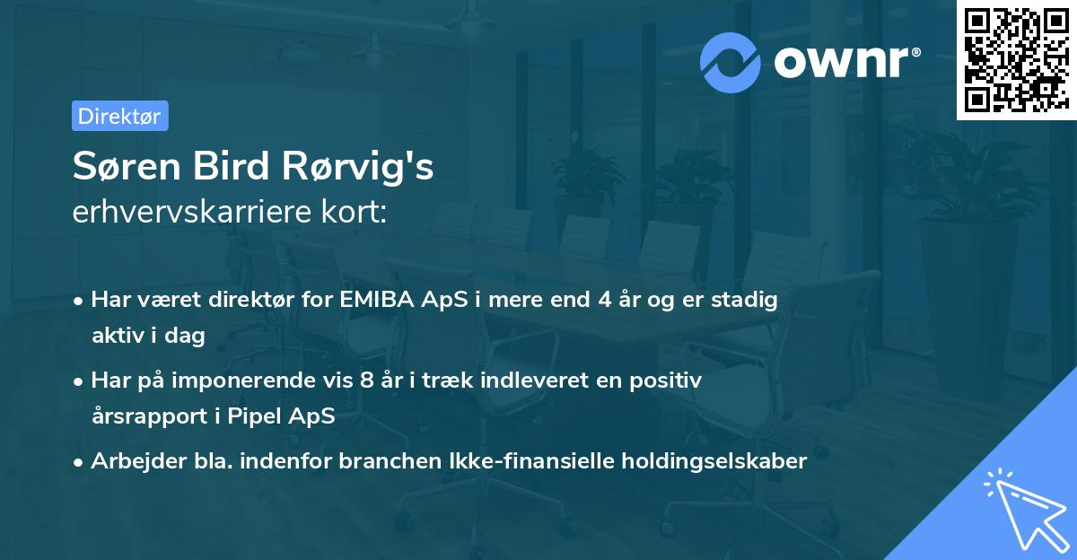 Søren Bird Rørvig's erhvervskarriere kort
