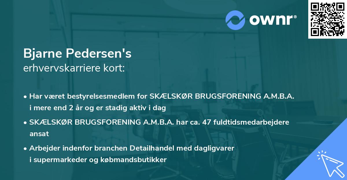Bjarne Pedersen's erhvervskarriere kort