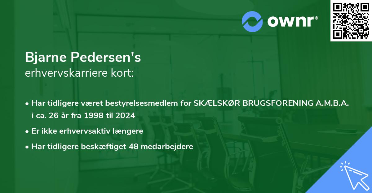 Bjarne Pedersen's erhvervskarriere kort