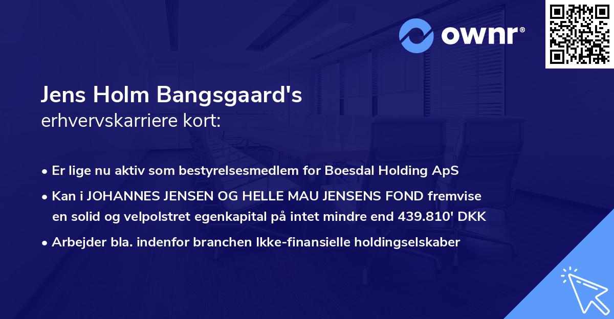 Jens Holm Bangsgaard's erhvervskarriere kort