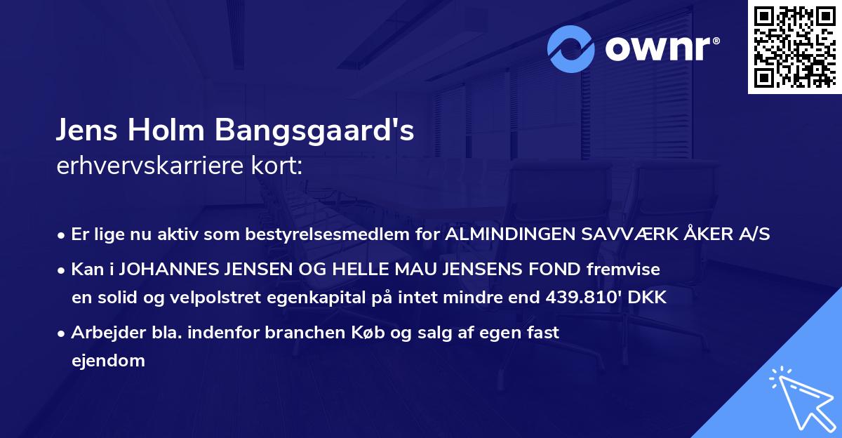 Jens Holm Bangsgaard's erhvervskarriere kort
