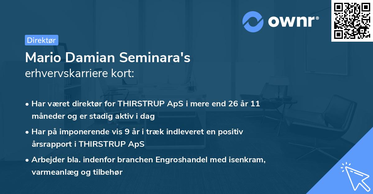 Mario Damian Seminara's erhvervskarriere kort