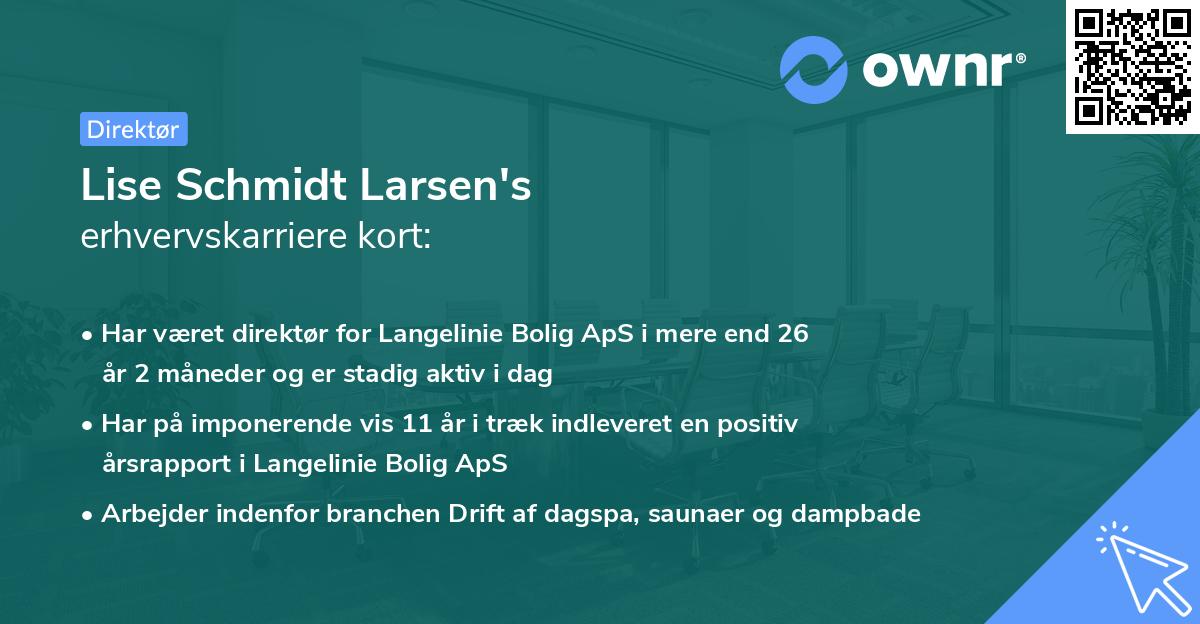 Lise Schmidt Larsen's erhvervskarriere kort