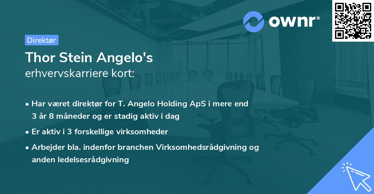 Thor Stein Angelo's erhvervskarriere kort