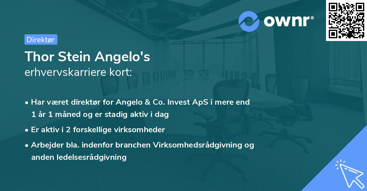 Thor Stein Angelo's erhvervskarriere kort