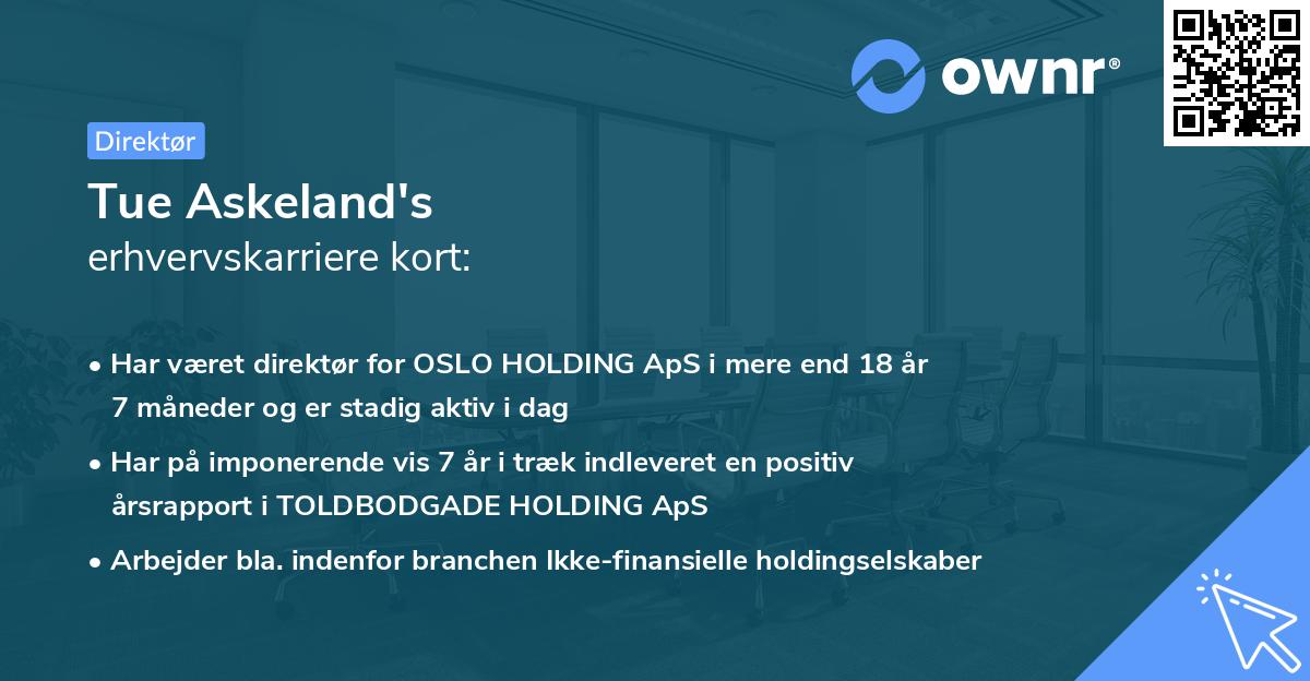 Tue Askeland's erhvervskarriere kort