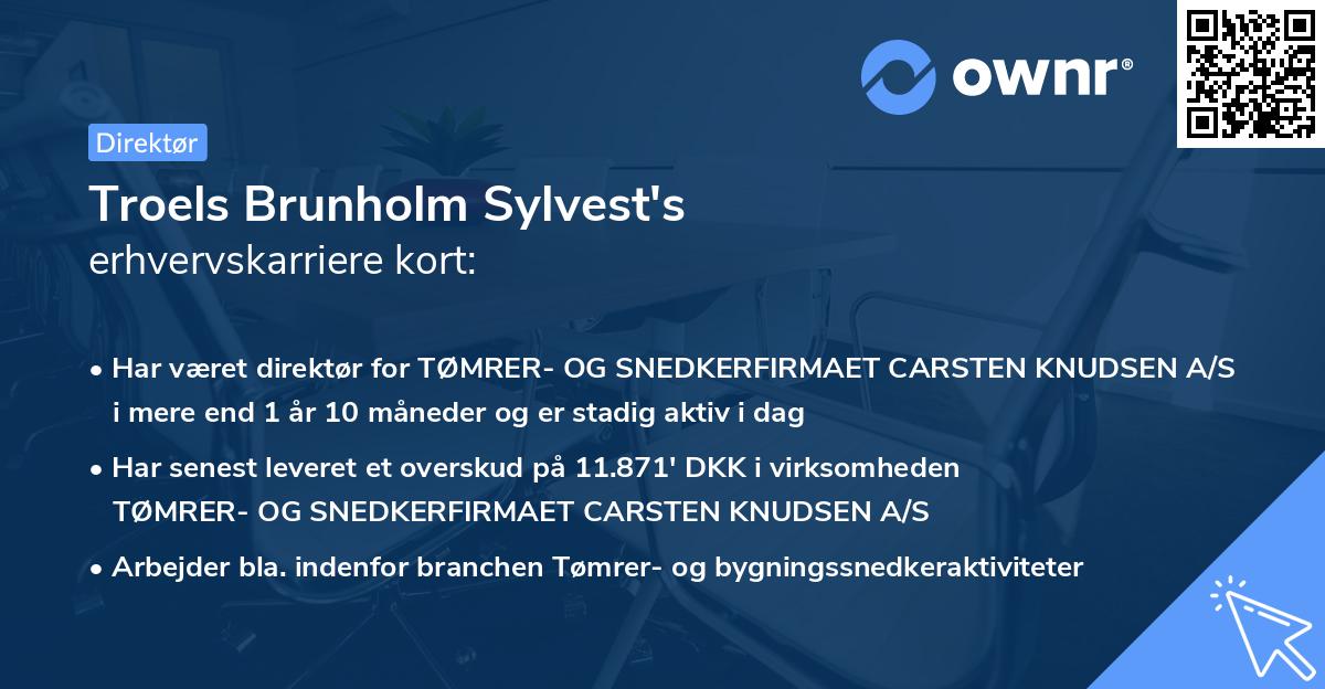 Troels Brunholm Sylvest's erhvervskarriere kort