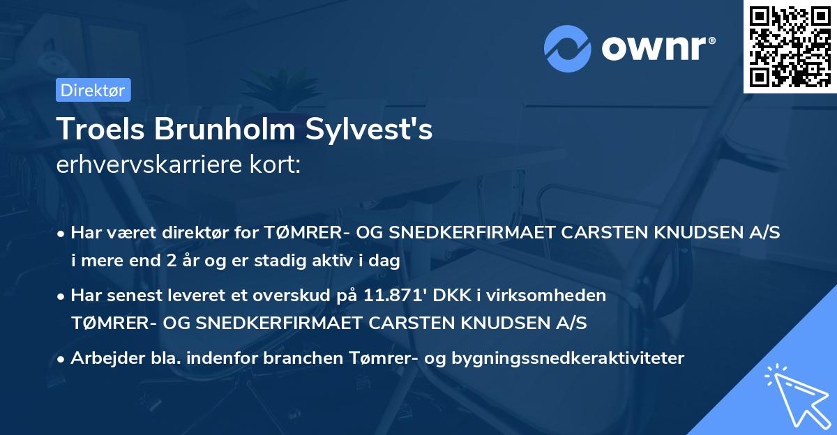 Troels Brunholm Sylvest's erhvervskarriere kort
