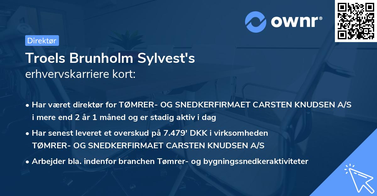 Troels Brunholm Sylvest's erhvervskarriere kort