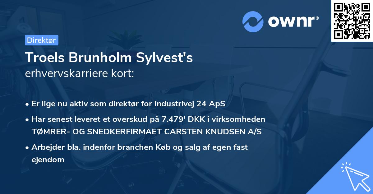 Troels Brunholm Sylvest's erhvervskarriere kort