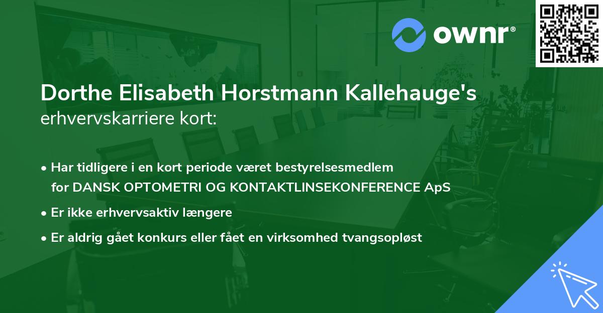 Dorthe Elisabeth Horstmann Kallehauge's erhvervskarriere kort