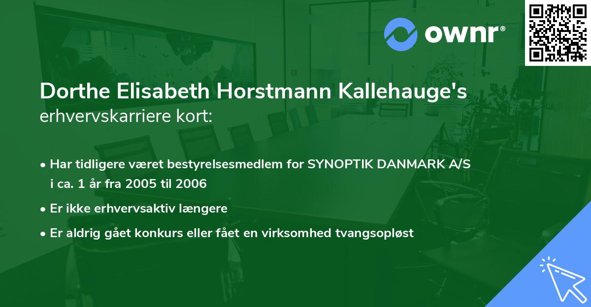 Dorthe Elisabeth Horstmann Kallehauge's erhvervskarriere kort