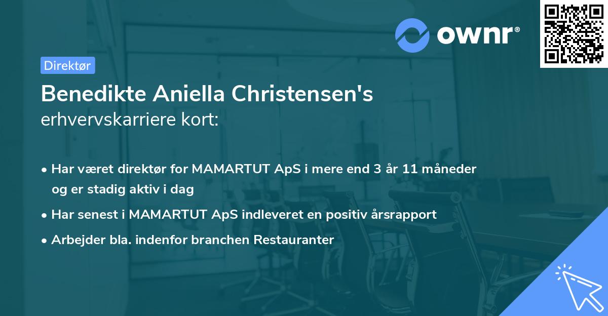 Benedikte Aniella Christensen's erhvervskarriere kort