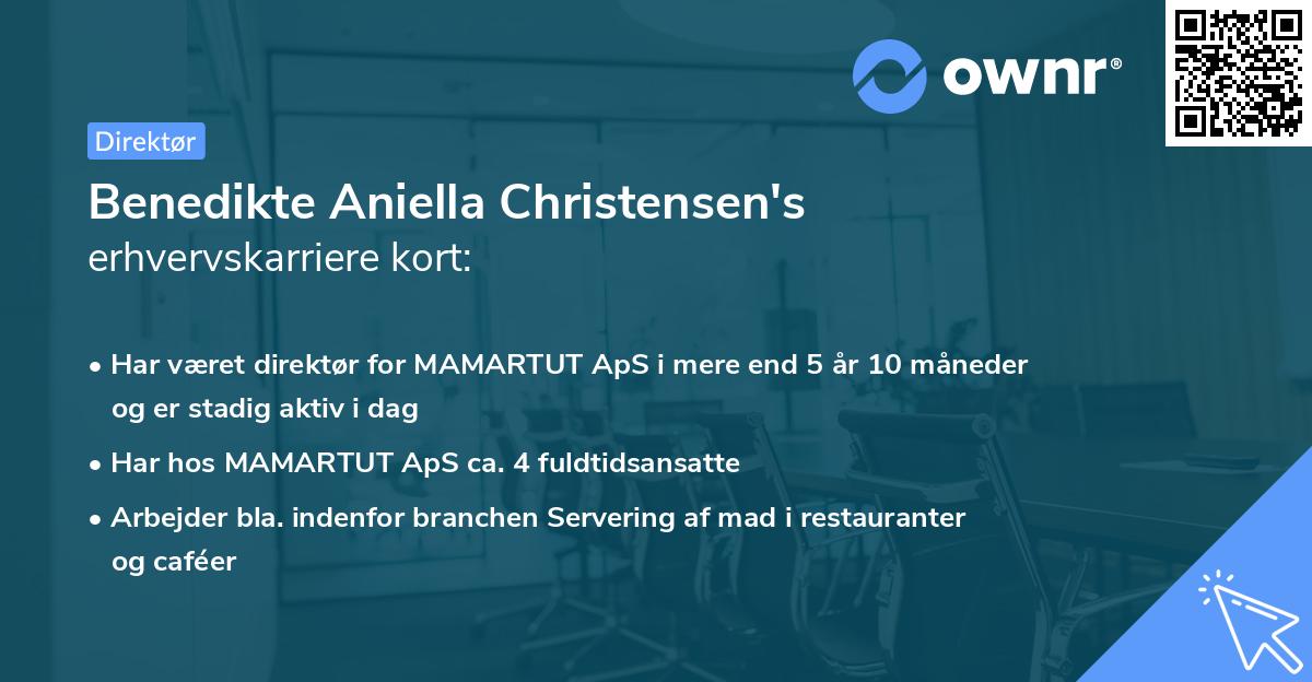 Benedikte Aniella Christensen's erhvervskarriere kort