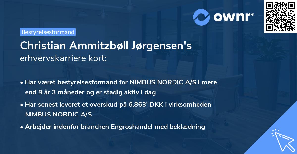 Christian Ammitzbøll Jørgensen's erhvervskarriere kort