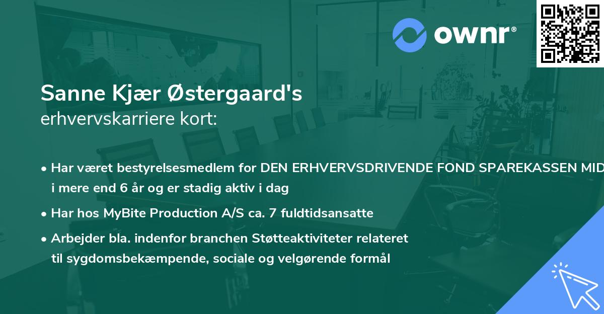 Sanne Kjær Østergaard's erhvervskarriere kort