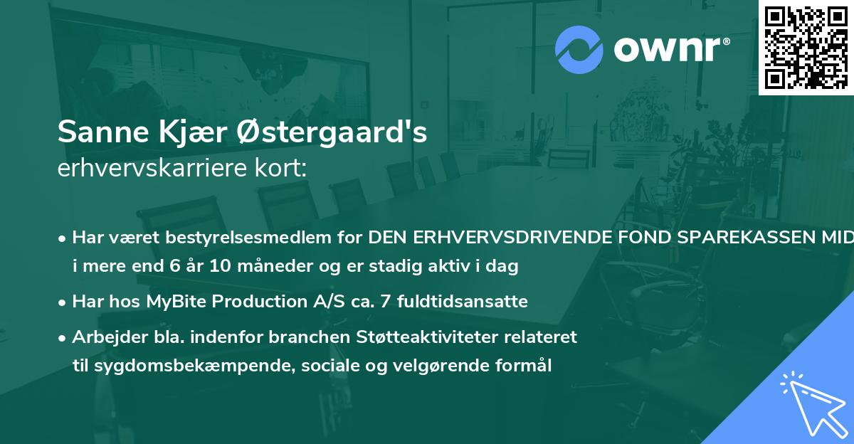 Sanne Kjær Østergaard's erhvervskarriere kort