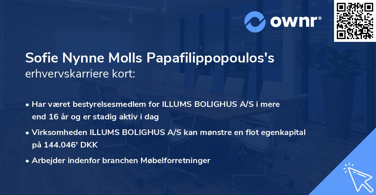 Sofie Nynne Molls Papafilippopoulos's erhvervskarriere kort