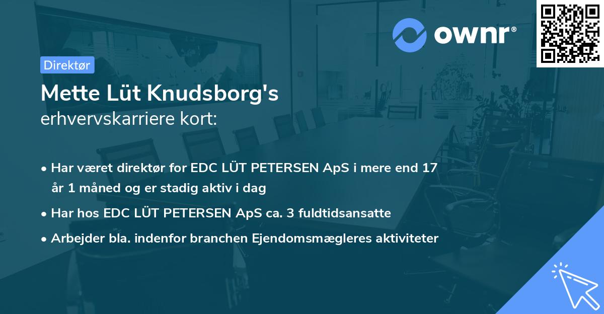 Mette Lüt Knudsborg's erhvervskarriere kort