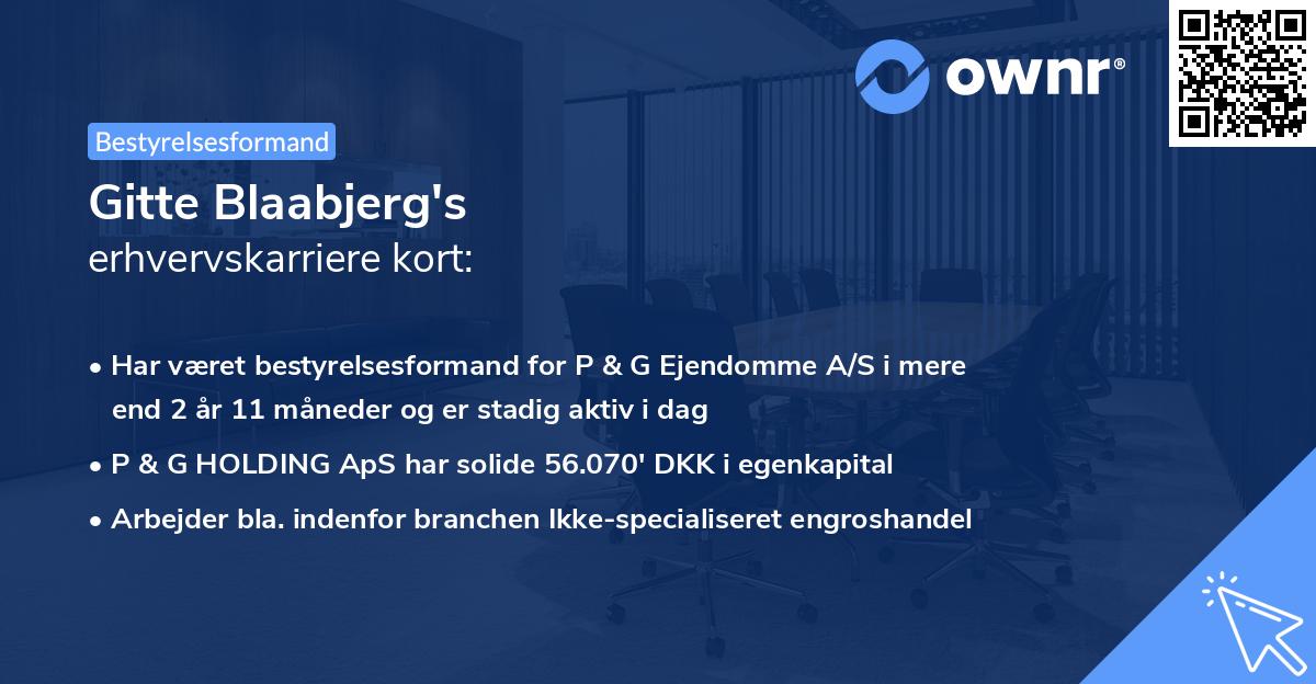 Gitte Blaabjerg's erhvervskarriere kort