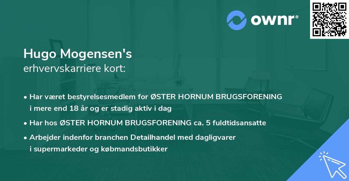 Hugo Mogensen's erhvervskarriere kort