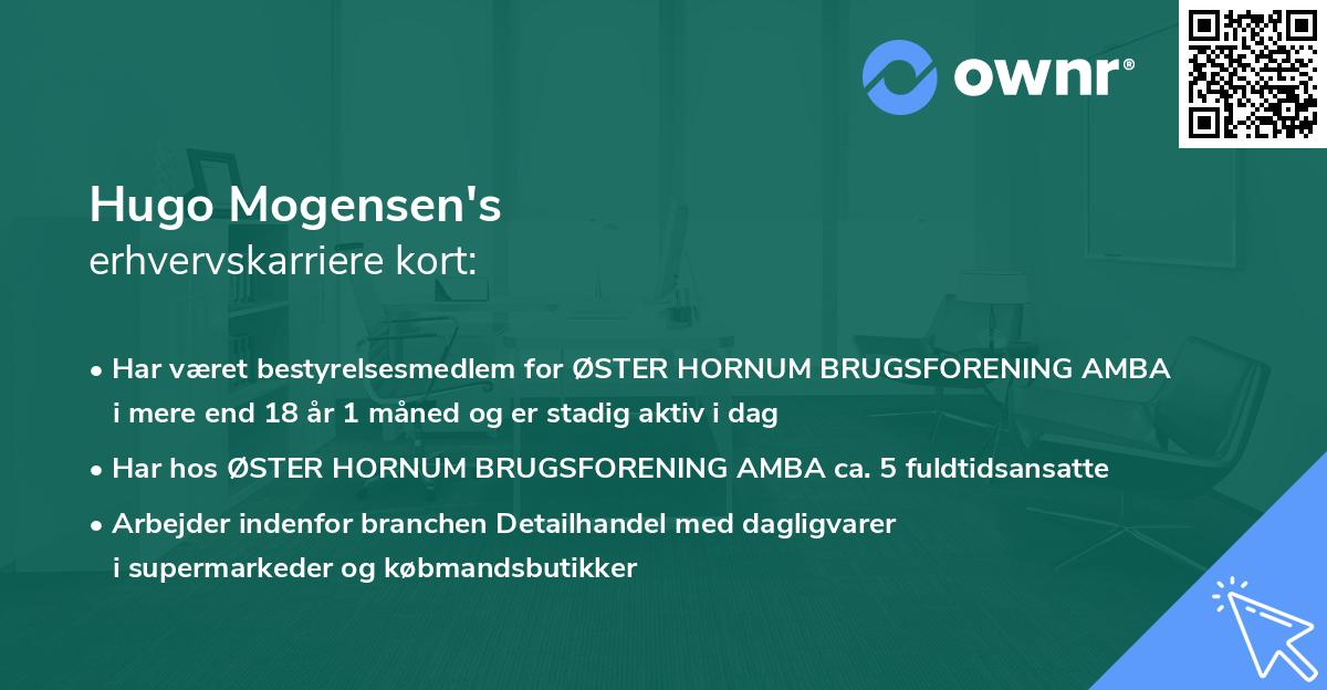 Hugo Mogensen's erhvervskarriere kort