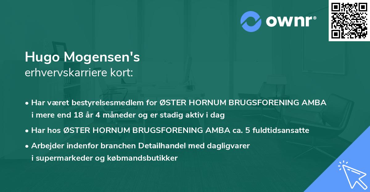 Hugo Mogensen's erhvervskarriere kort